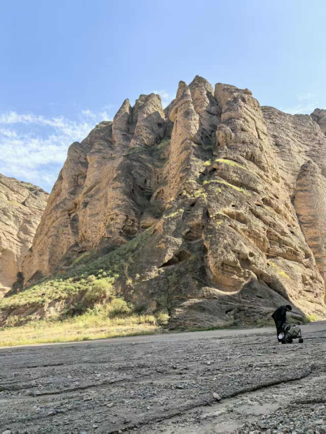 文字问说念石林 神韵写意黄河：走遍中国·甘肃——中国文促会好意思术家写生创作行径走进景泰